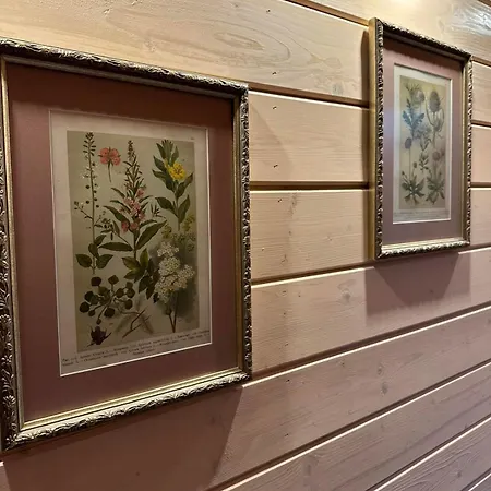 Apartment там, де файно Onokovtsy