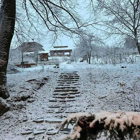 там, де файно Apartment *