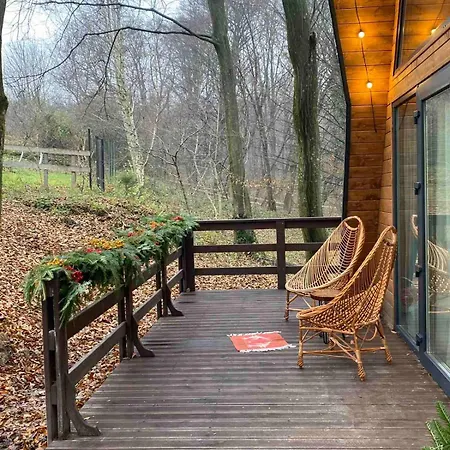 Apartment там, де файно