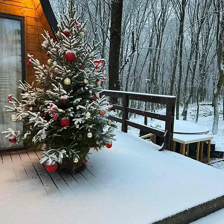 там, де файно * Onokovtsy