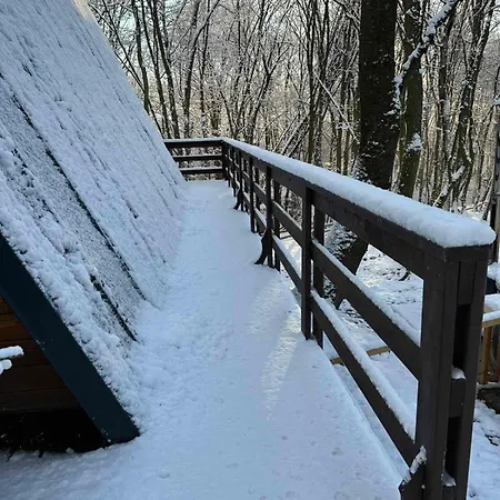 Apartment там, де файно