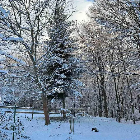 там, де файно