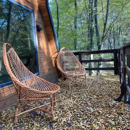 Apartment там, де файно