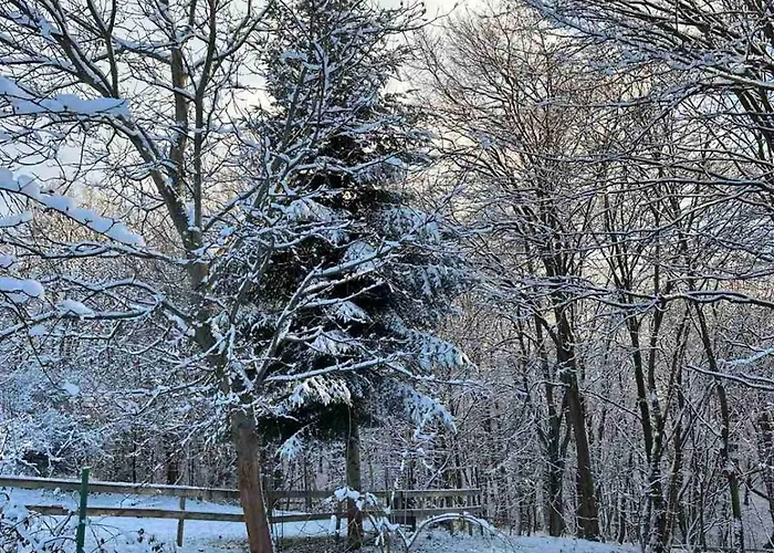 там, де файно