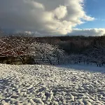 там, де файно Onokovtsy