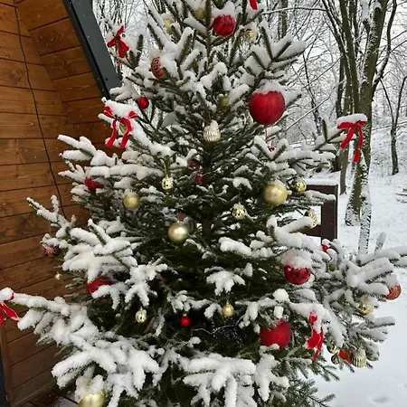 Apartman там, де файно Felsődomonya
